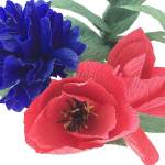 New $10 Bouquets – Bloxom Blooms